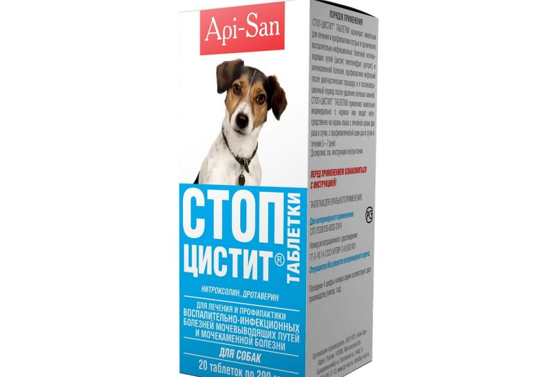 Стоп Цистит для собак в таблетках и в суспензии: инструкция по применению, состав, аналоги