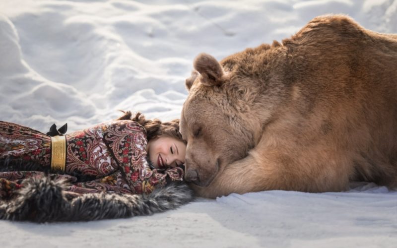 Видеть во сне медведя – к чему? Сонник: значение сна про медведя для женщины и для мужчины